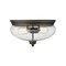 Z-Lite Amon 2 Light Flush Mount, Olde Bronze And Clear Seedy 722F2-OB - alternate 3